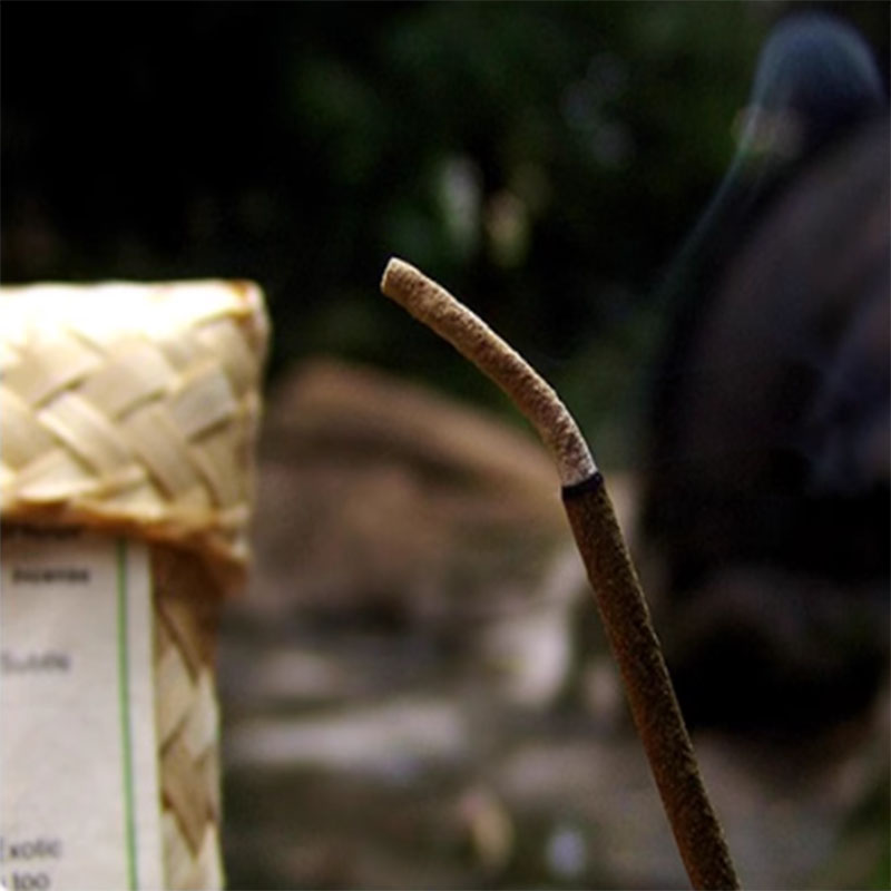 Log Plants Incense Sticks Mult - đánh giá và giá Home Fragrance Zen