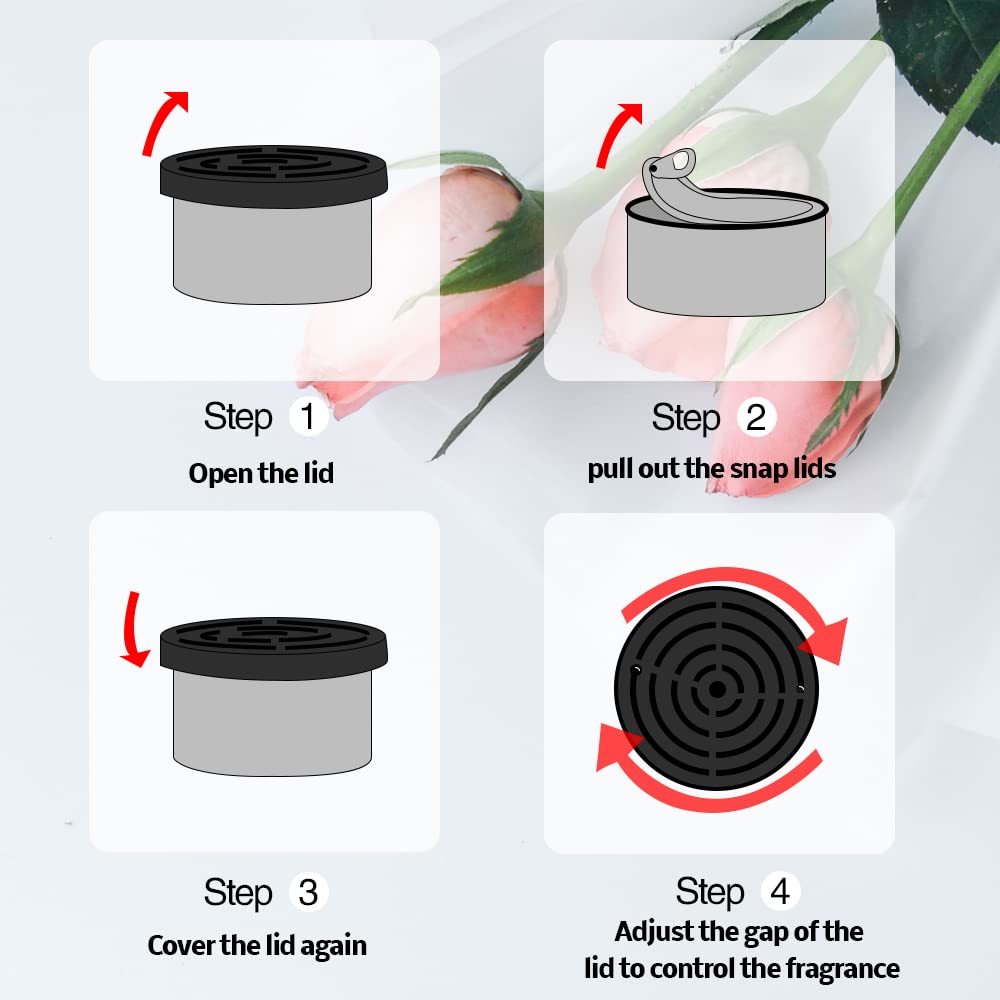 Car Air Freshener:   Coconut S - đánh giá và giá Home Fragrance Elements
